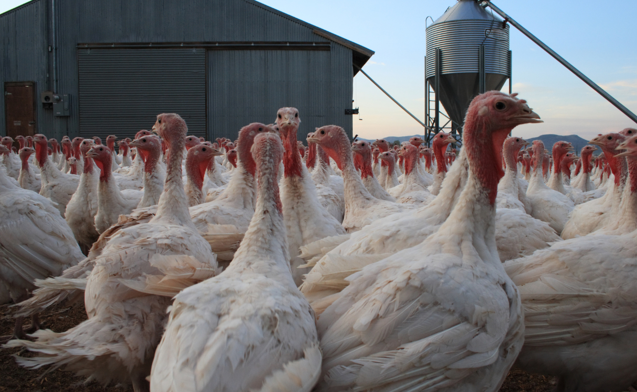 giornata aria pulita allevamenti
