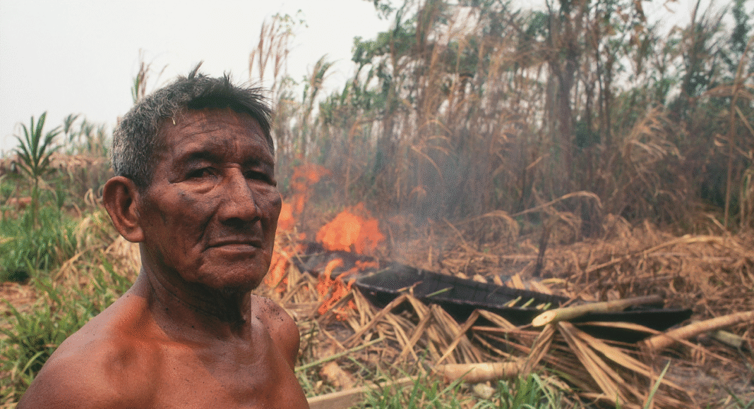 regolamento deforestazione