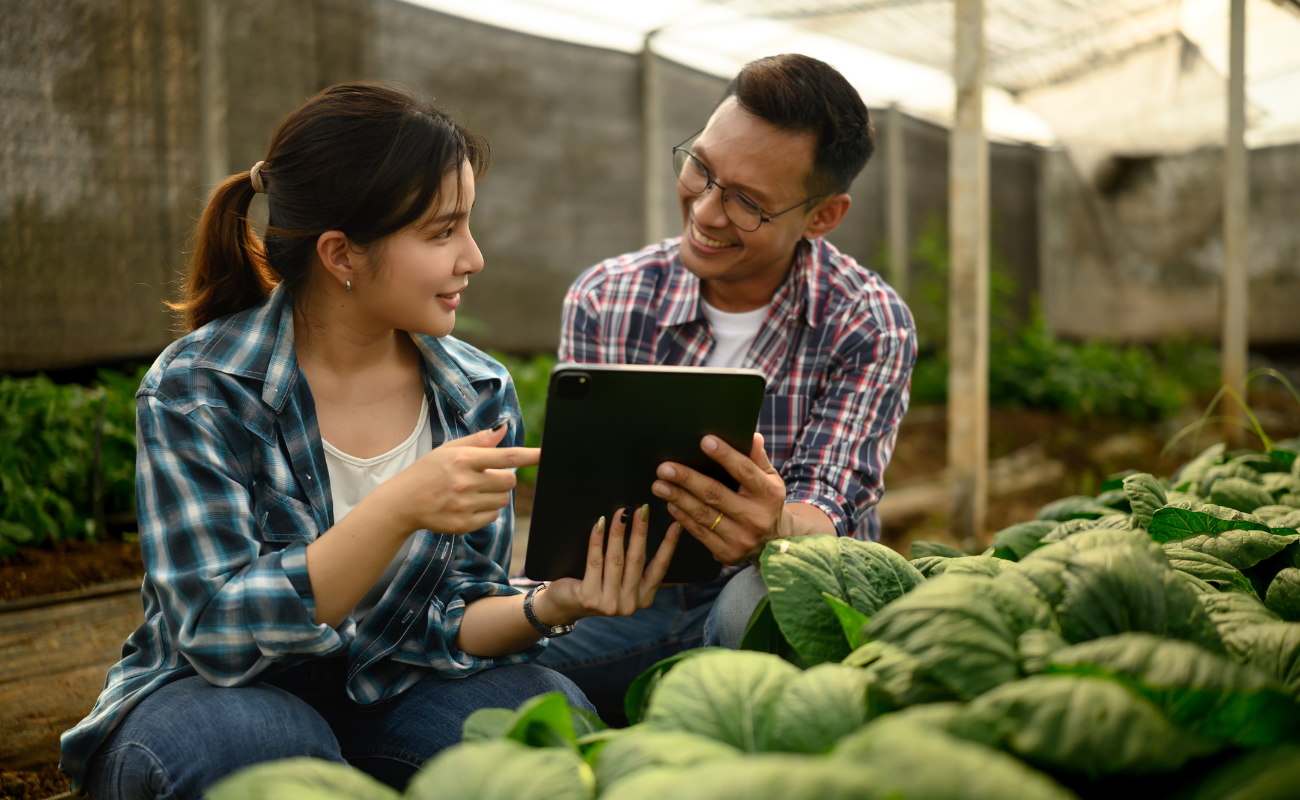 nutrire il pianeta compostaggio