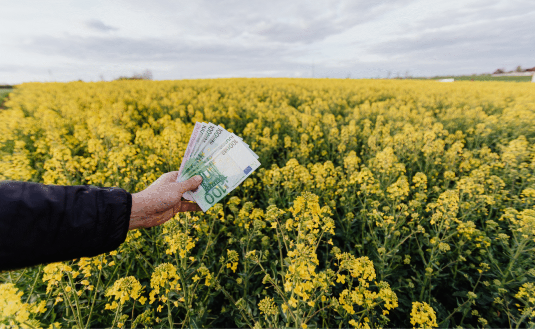 cop30 finanza clima ue copertina