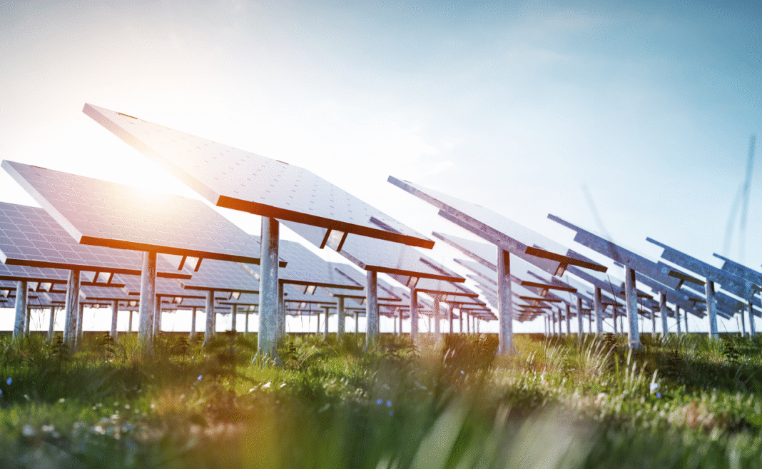 pannelli agricoltura