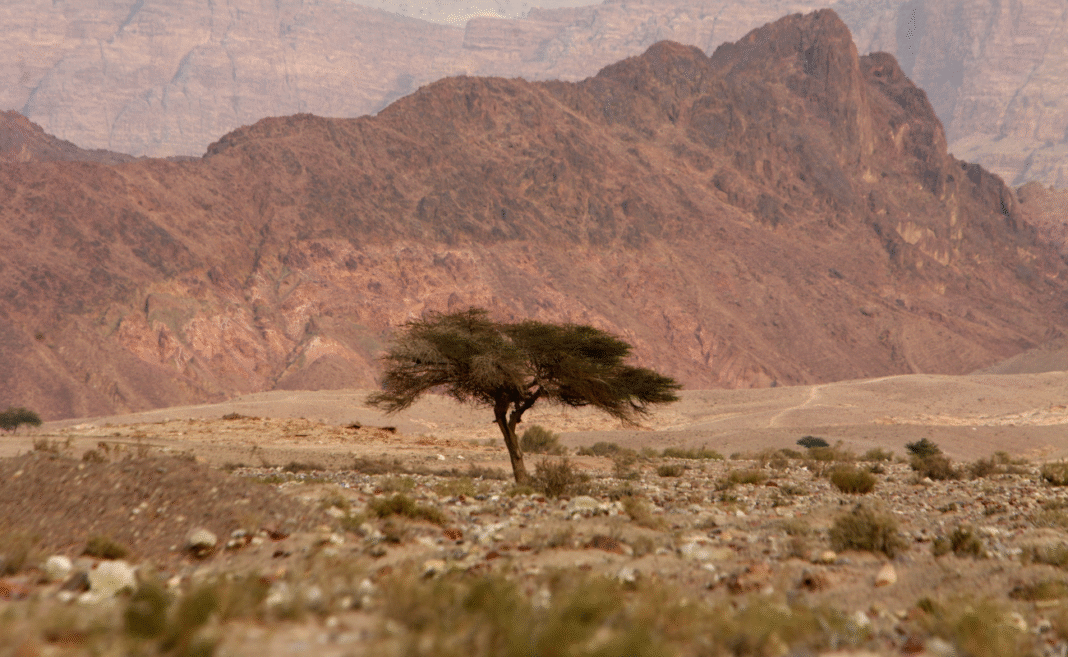 geodiversità copertina