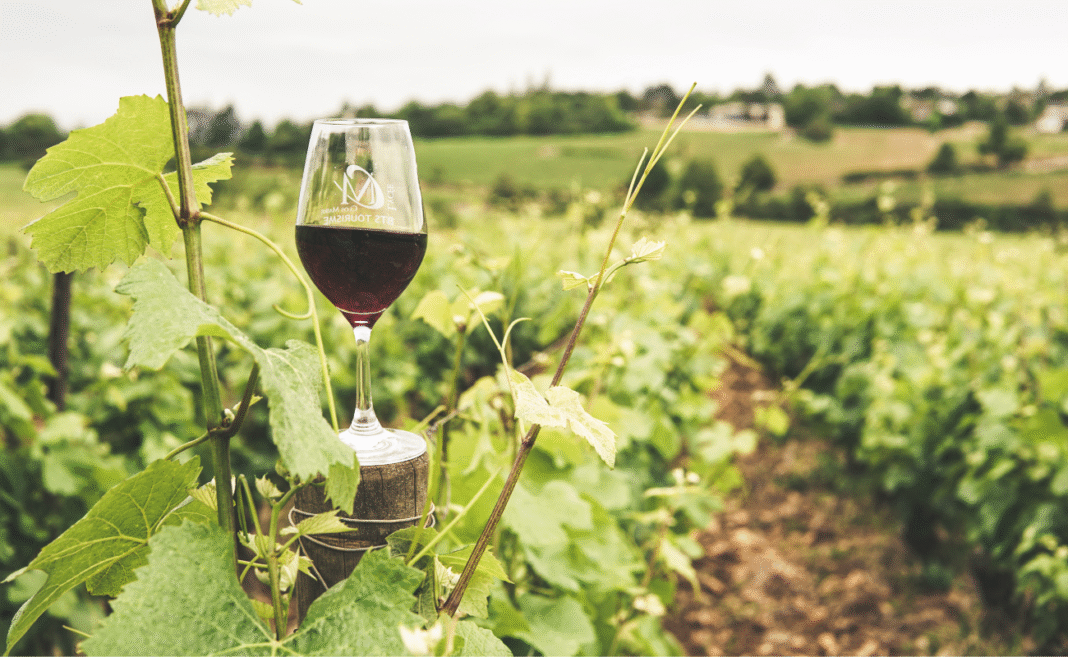 made green in italy copertina