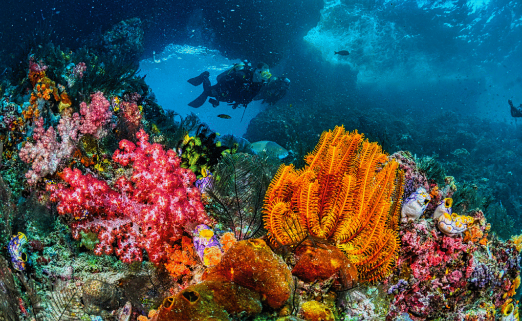 tipping point copertina