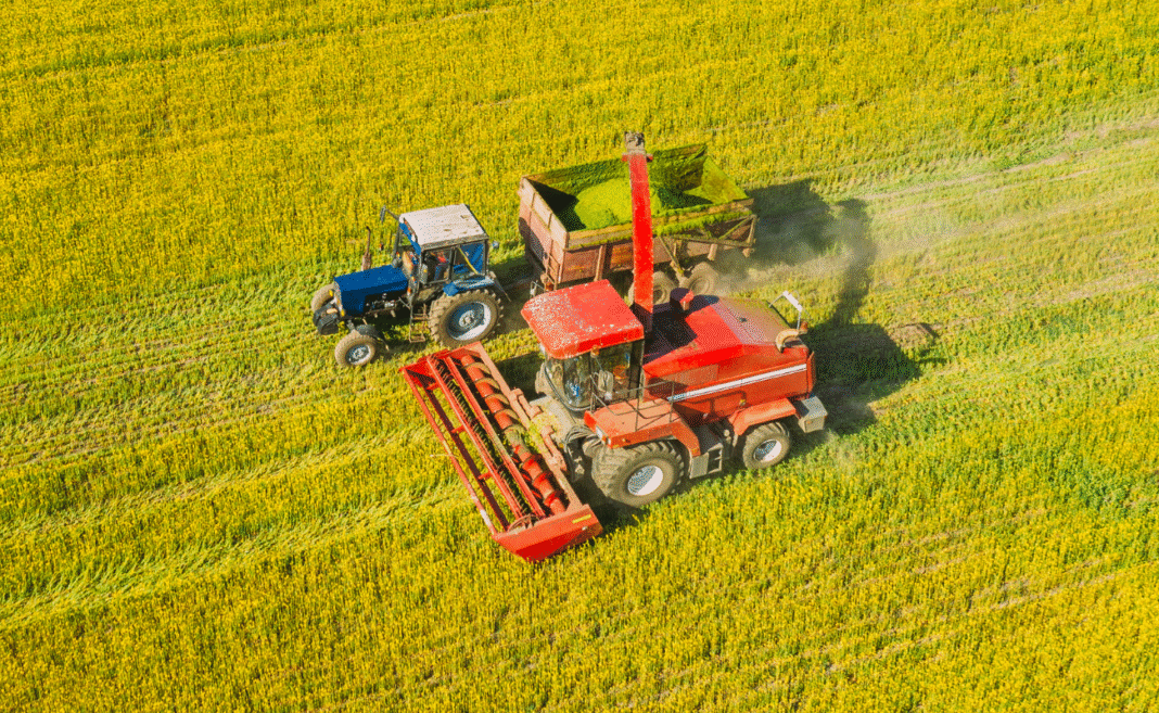 biocarburanti copertina