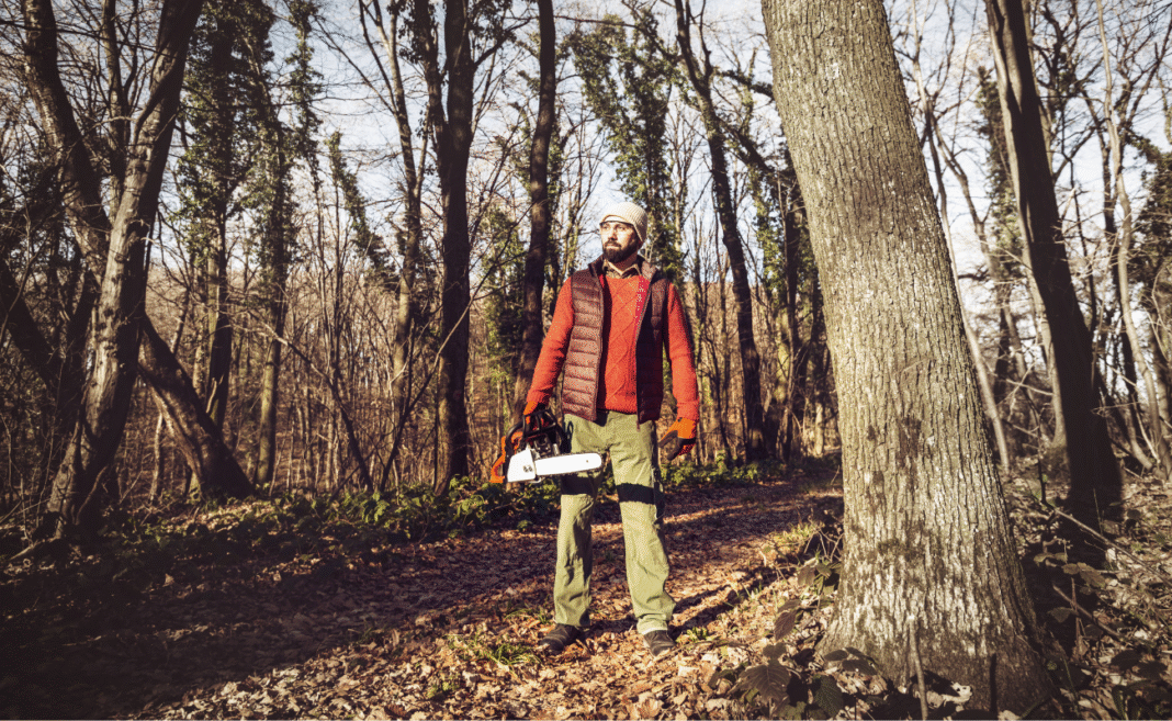 strategia bioeconomia copertina