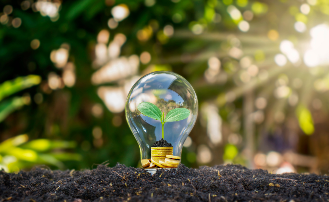 greenwashing energia