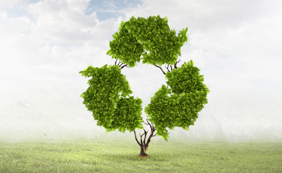 bioeconomia copertina