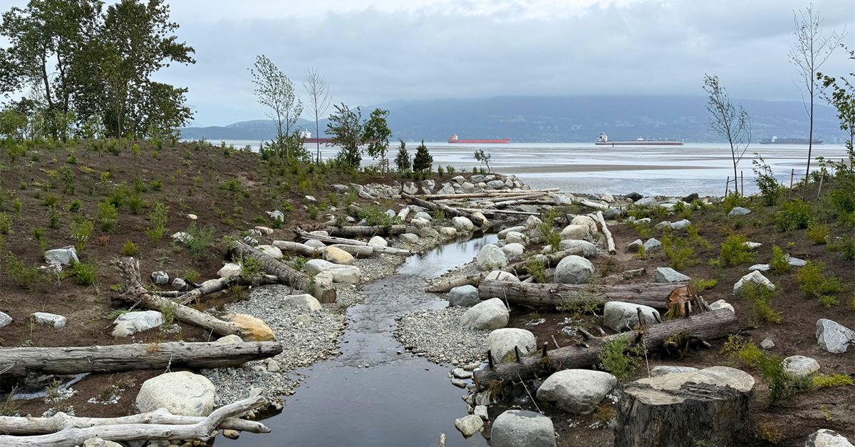 popolazioni indigene Esempio di Daylighted Creek nella zona di Vancouver, BC