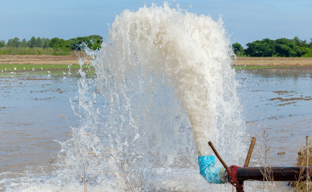 giornata acqua irrigazione
