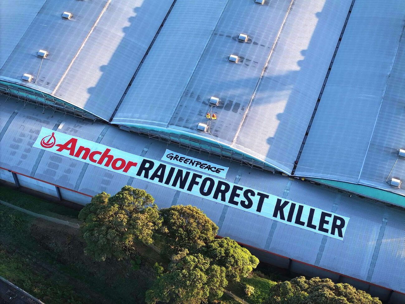 greenwashing anchor greenpeace