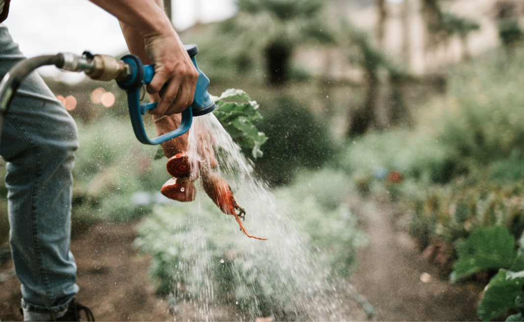 piano sostenibilità copertina