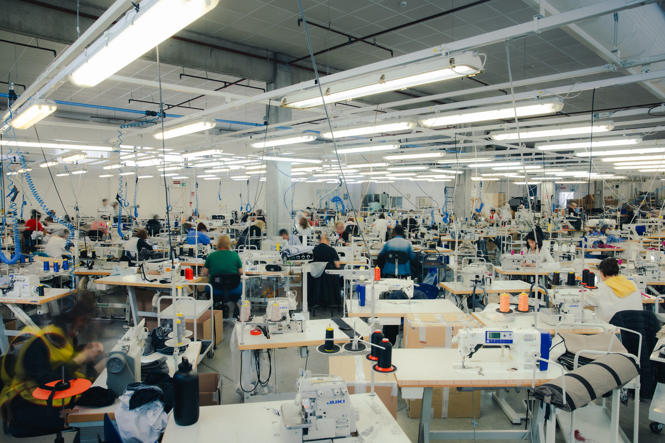 quid laboratorio