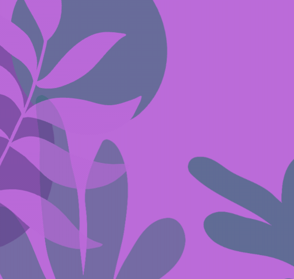 spot_img